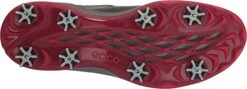 Ecco Men's Biom G3 BOA Fit Golf Shoes -Golf Club Sales EccoBiomG3BOA Black3
