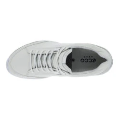 Ecco Men's Biom Hybrid Golf Shoes -Golf Club Sales EccoHybridBiom ConcreteConcrete 4