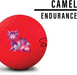 Saintnine Misty Premium Matte Golf Balls 15 Saintnine Misty Premium Matte Golf Balls -Golf Club Sales MistyMatteRed1