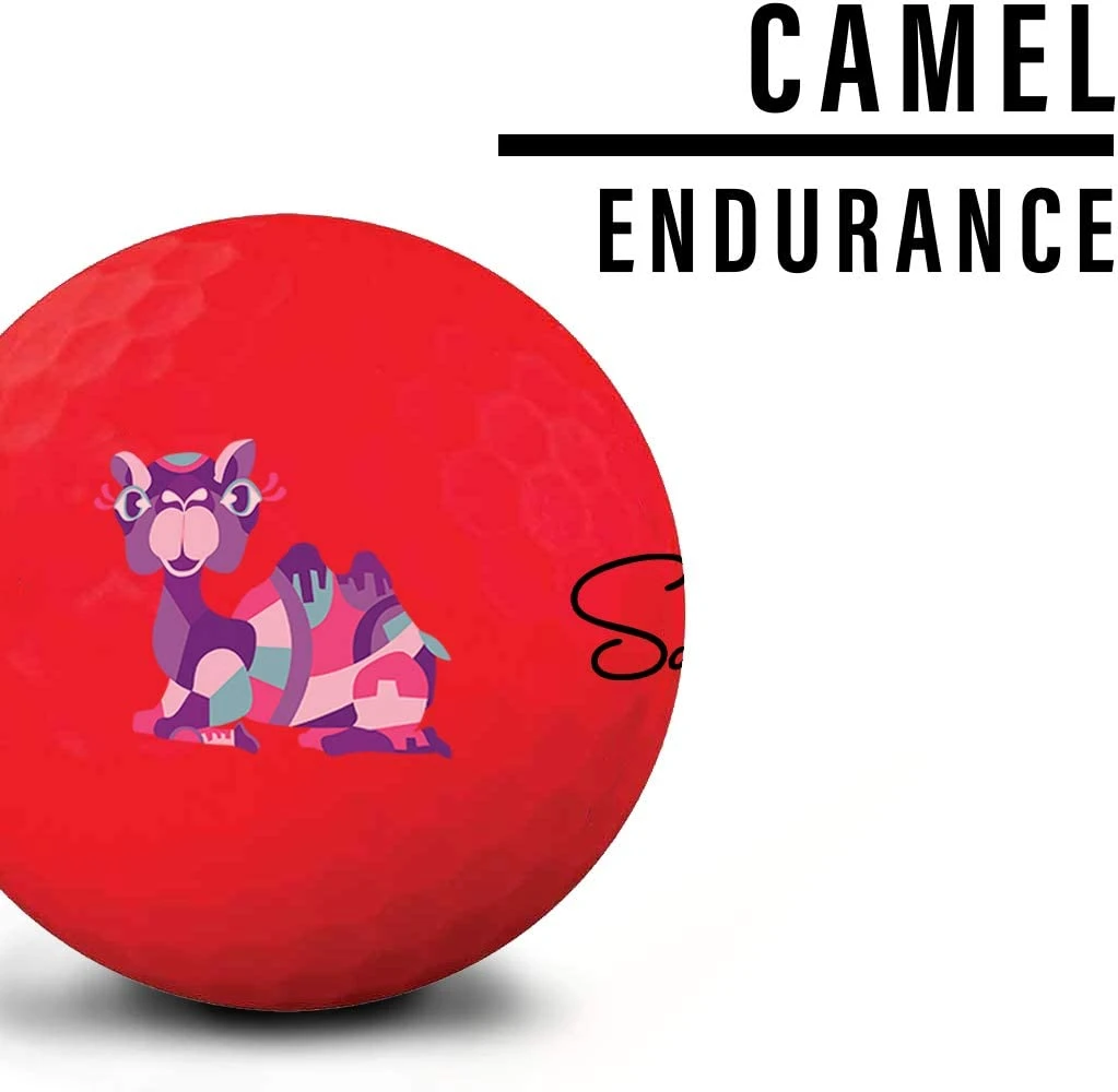 Saintnine Misty Premium Matte Golf Balls 8 Saintnine Misty Premium Matte Golf Balls - Image 6